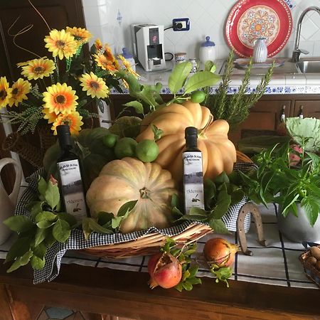 Agriturismo Adenzia 포르토 엠페도클레 외부 사진