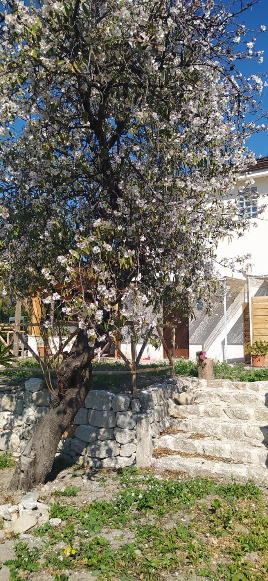 Agriturismo Adenzia 포르토 엠페도클레 외부 사진